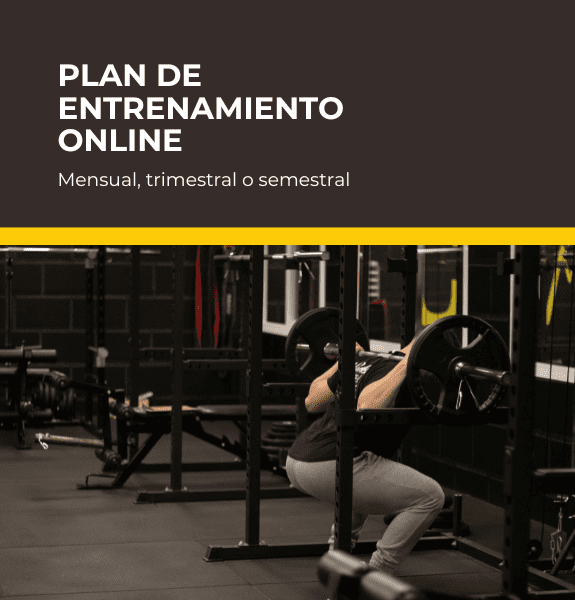 CLEVER ONLINE 1 entrenamiento online asesorias